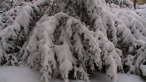 2010.02.06._082.jpg