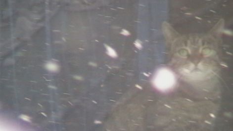 2010.02.06._094.jpg