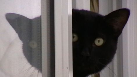 2010.03.21._143.jpg