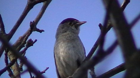 s_010.jpg